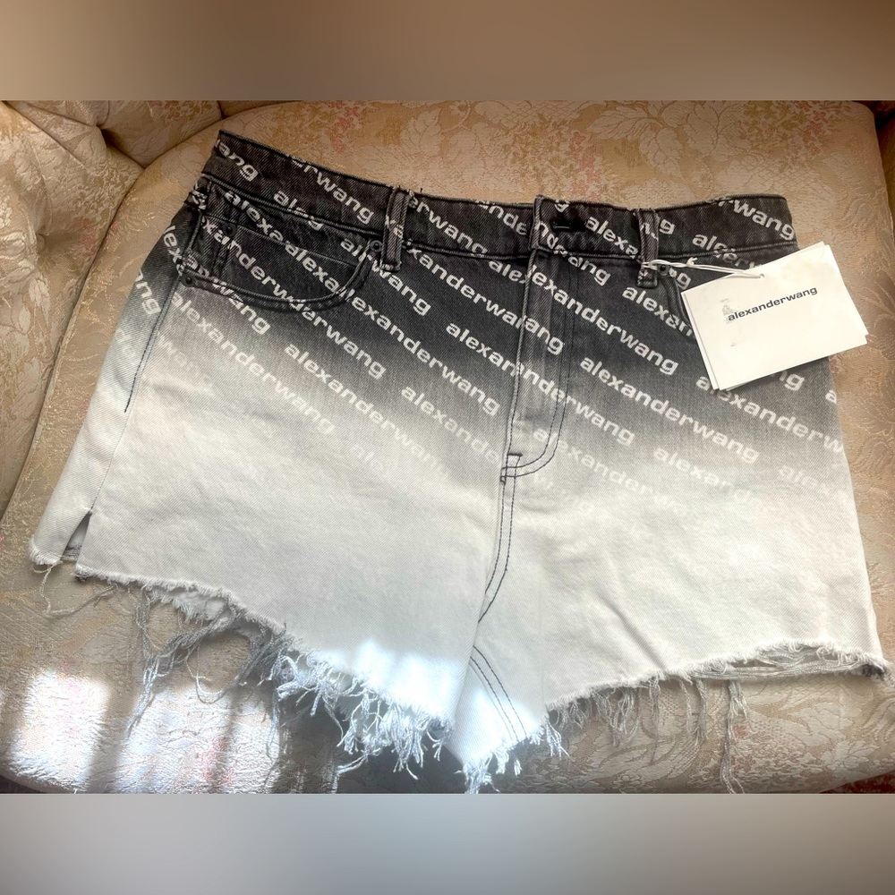 Alexander Wang Logo shorts (30)